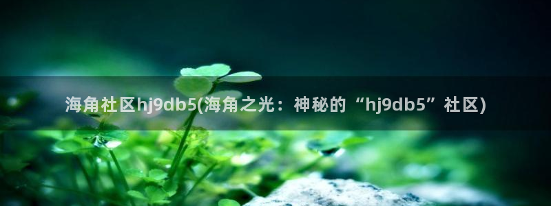 海角社区属于什么：海角社区hj9db5(海角之光：神秘的“hj9db5”社区)