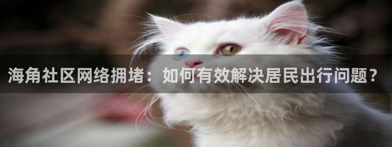 海角社区论坛最新官网：海角社区网络拥堵：如何有效解决居民出行问题？