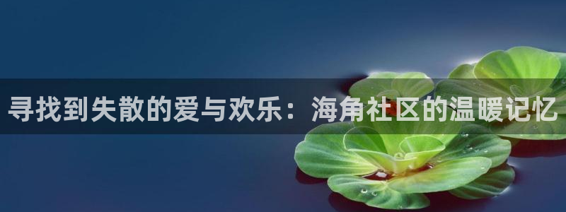 海角社区啊：寻找到失散的爱与欢乐：海角社区的温暖记忆