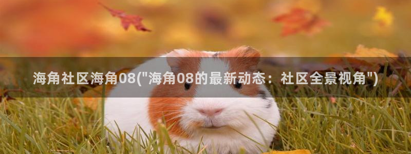 海角社区hj9c7：海角社区海角08(\