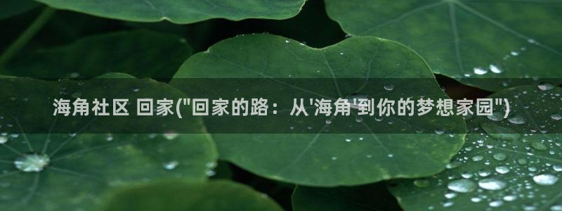 海角社区官网登录：海角社区 回家(\
